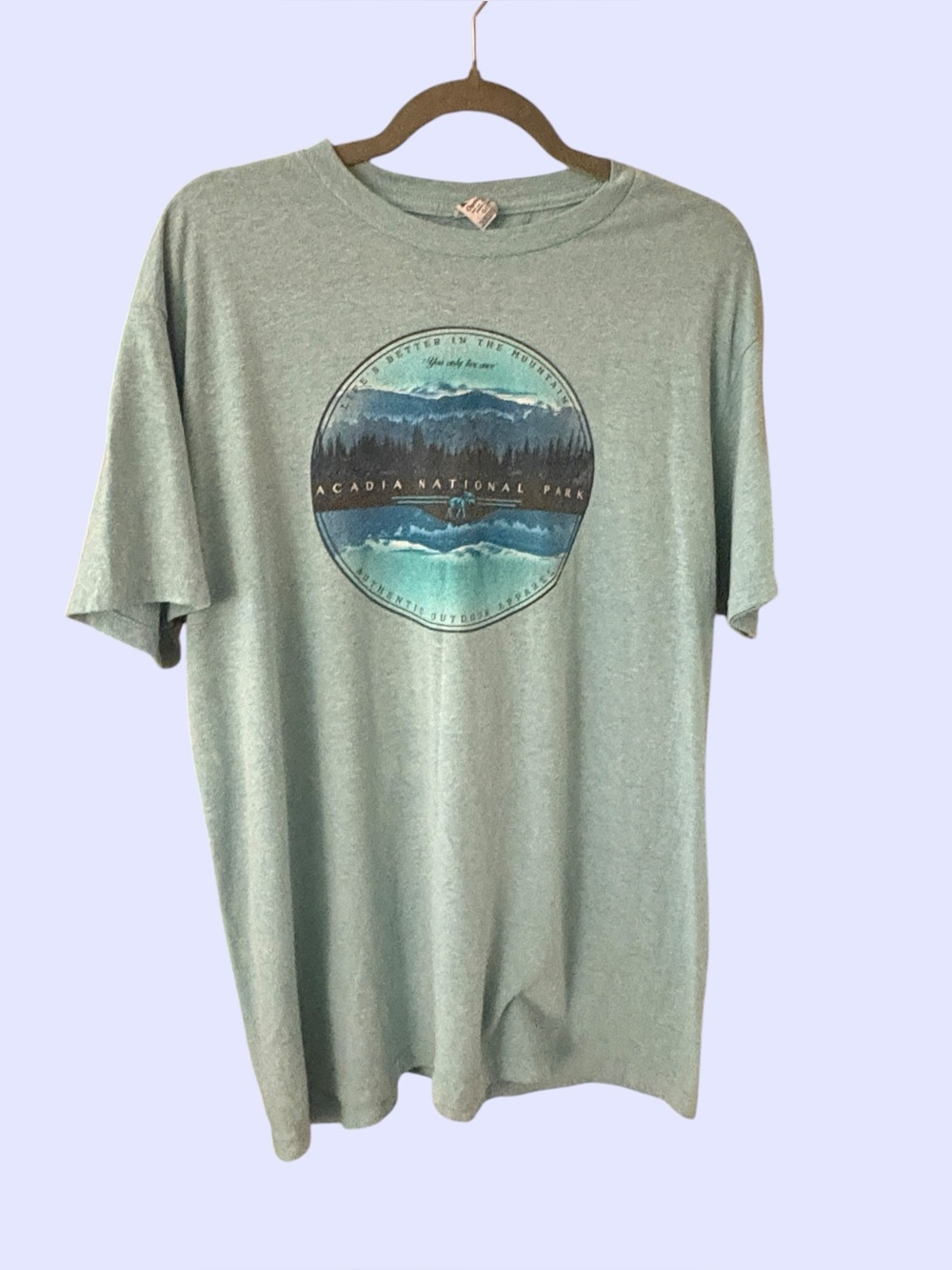 Acadia National Park Graphic Tee - Sage Green large T-Shirt